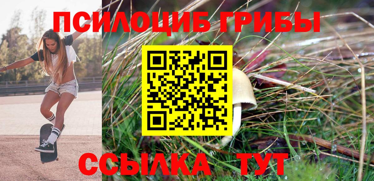 Галлюциногенные грибы MAGIC MUSHROOMS  Вход с VPN  наркотики  Тайшет 